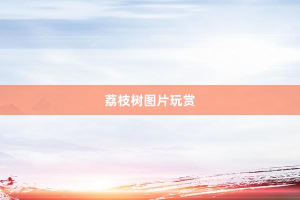 荔枝树图片玩赏
