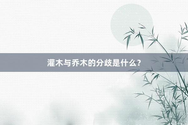 灌木与乔木的分歧是什么？