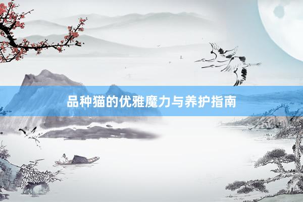 品种猫的优雅魔力与养护指南